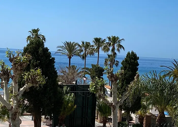 Delfin Nerja